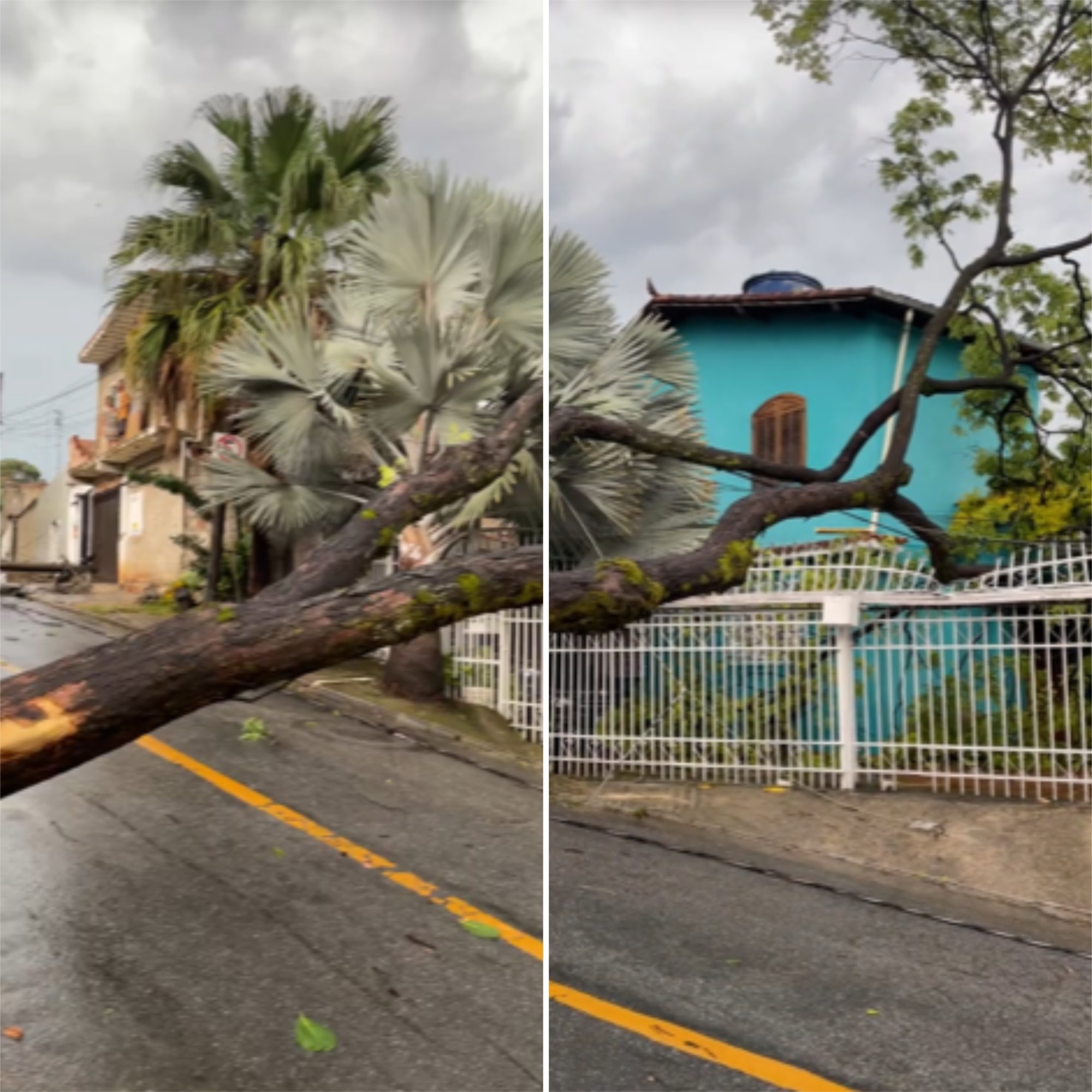 Temporal atingiu Minas Gerais, atingindo cerca de 640 mil clientes