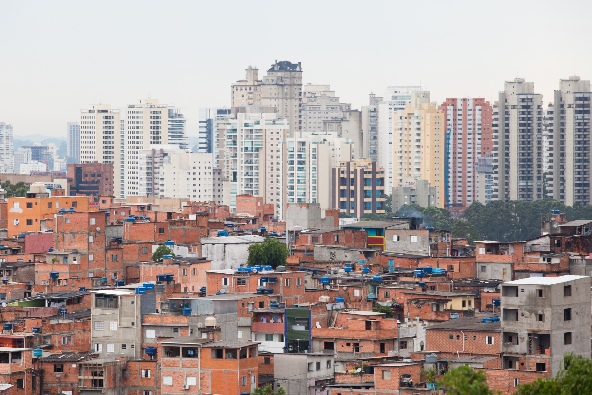 Concentração de Riqueza no Brasil: O Sistema Tributário e o Poder do 1%