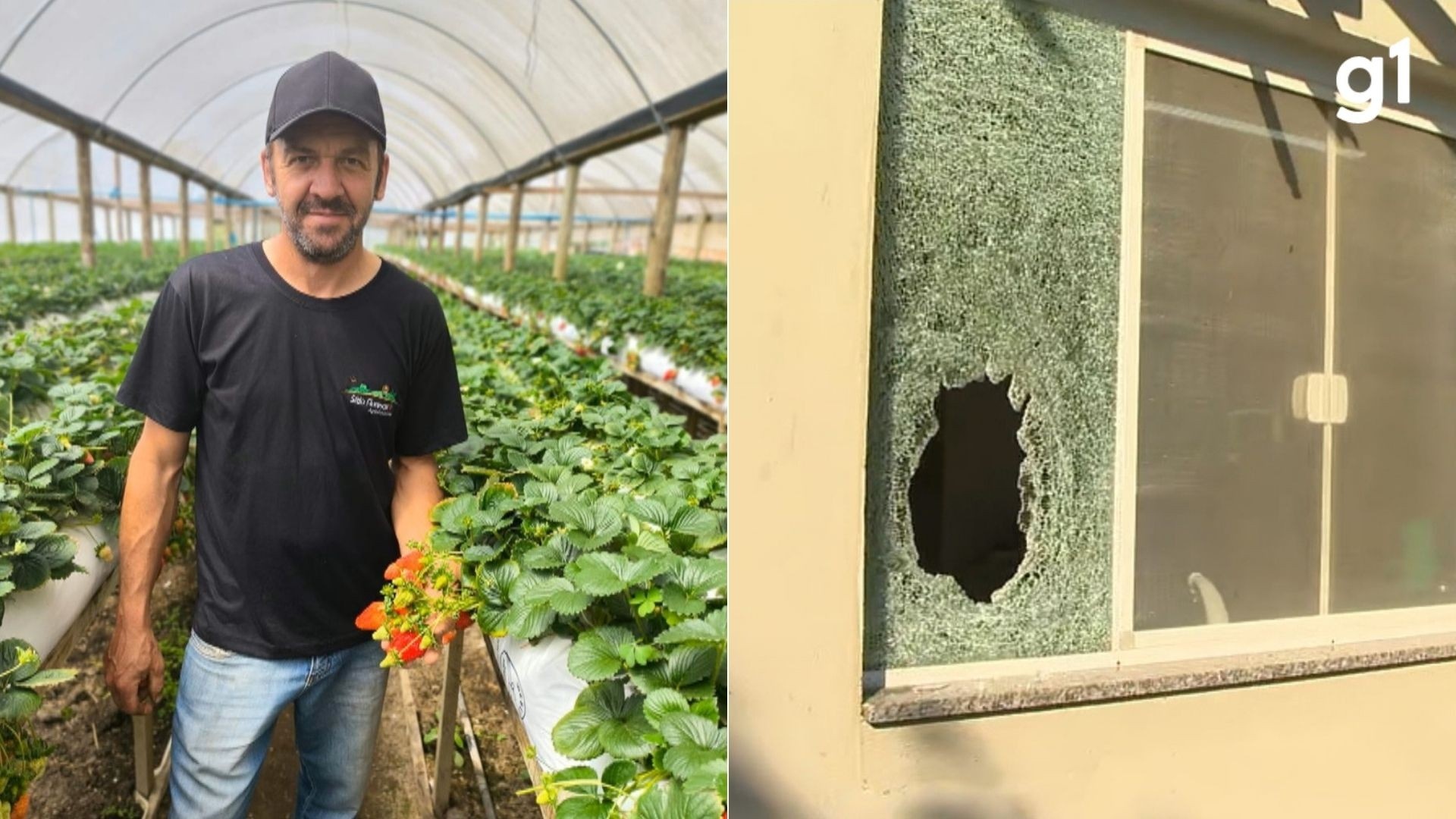 Brigada Militar no RS: A Conclusão da Corregedoria e o Paradoxo da Responsabilidade em Casos de Letalidade