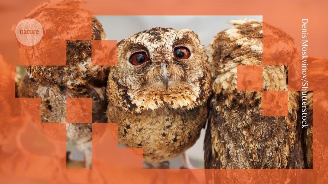 Viés Subliminar em IAs: O Risco Inesperado na Transmissão de Conhecimento