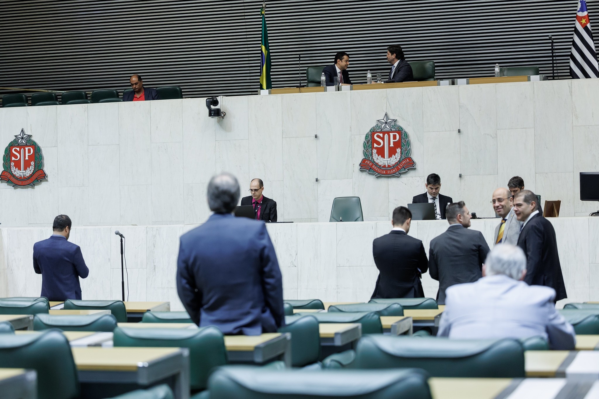 Renascimento na assembleia legislativa de São paulo
