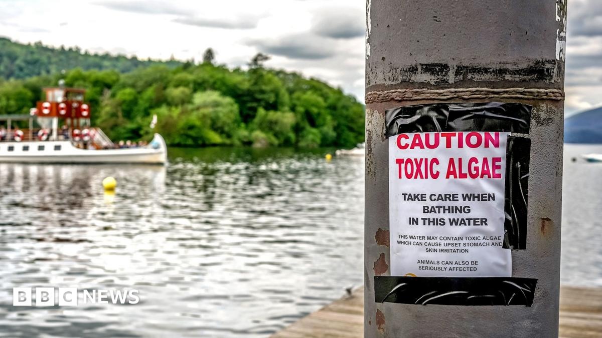 Poluição Invisível: A Realidade Química dos Rios Ingleses e o Alerta Global para a Saúde Humana