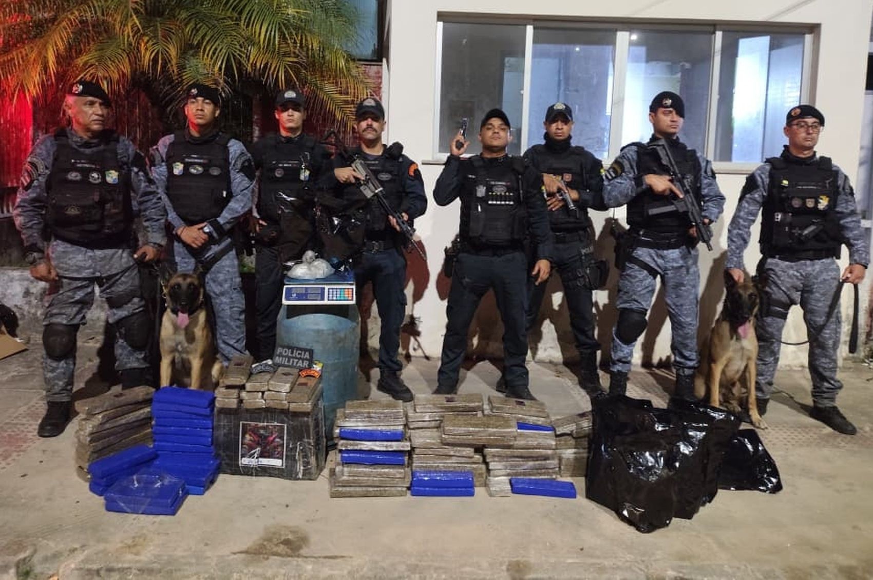Grande Apreensão de 100kg de Maconha em Laranjeiras Desvela Rede Criminosa no Litoral Sergipano