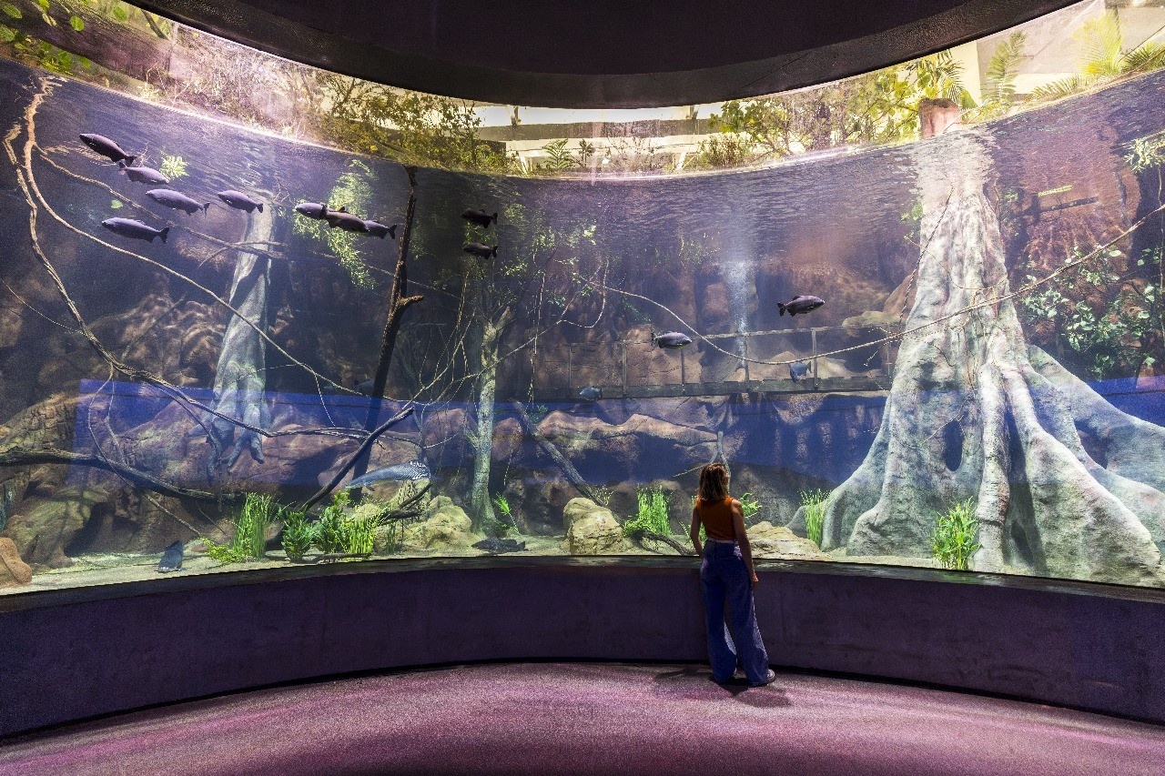 O Oceano no Interior: A Logística Internacional que Ancorou um Mar em Foz do Iguaçu