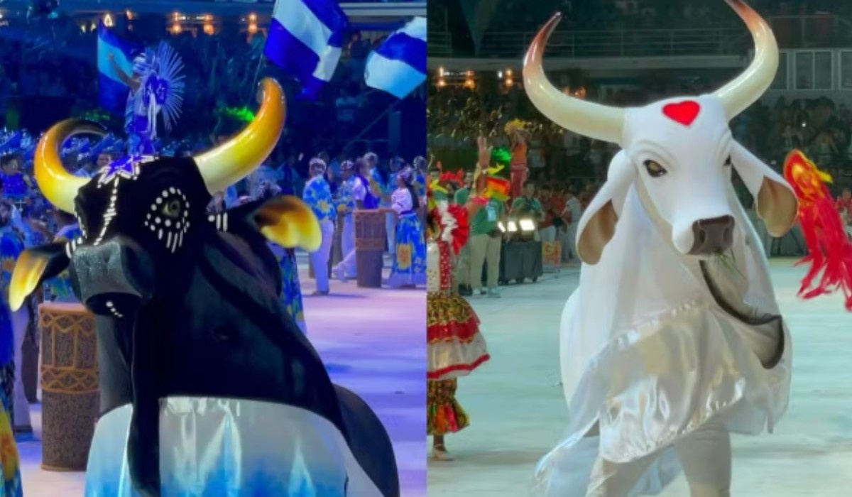 Arena Planeta Boi: O Motor Cultural e Econômico de Manaus Rumo a Parintins