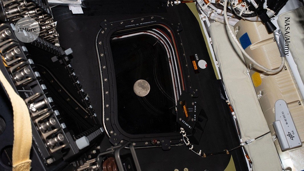 A Vanguarda Lunar: Como Artemis II Redefine a Presença Humana no Espaço Profundo