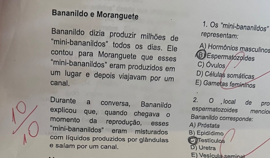 Pedagogia Digital no RS: O Dilema de Bananildo em Viamão e o Impacto na Educação Científica