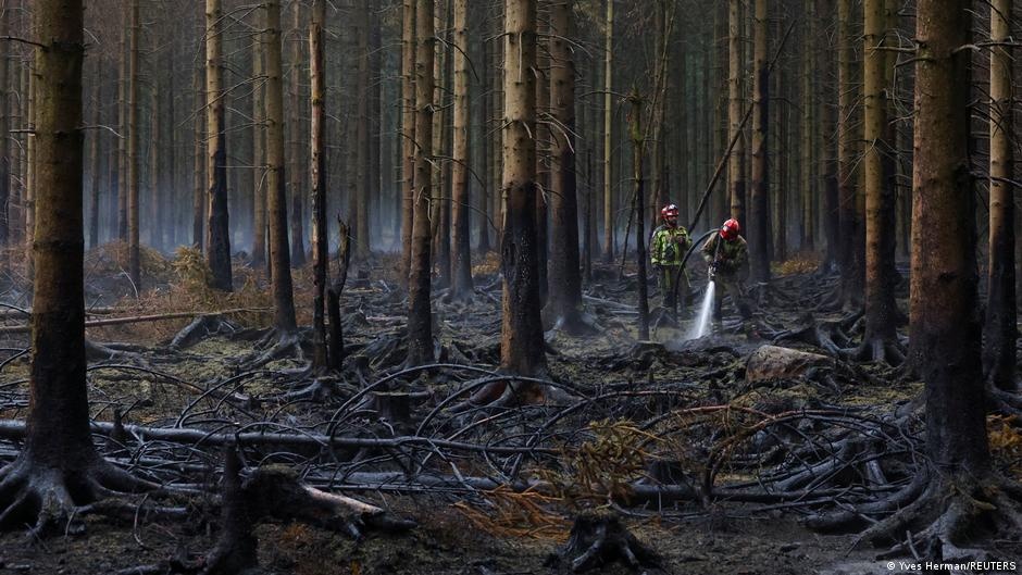 Incêndio Gigante na Bélgica: Um Sinal de Alerta Global para a Era das Catástrofes Climáticas