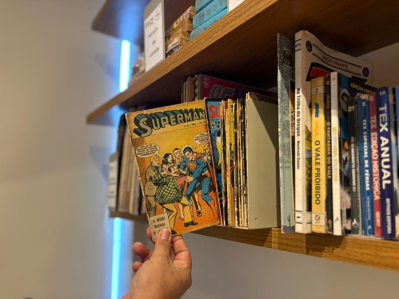 Resiliência e Relevância: A Biblioteca Elcy Lacerda Como Eixo de Cultura e Conhecimento na Era Digital