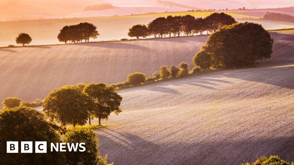 Ciência da Conservação: £1 Milhão Transformará Paisagem Britânica em Modelo de Sustentabilidade