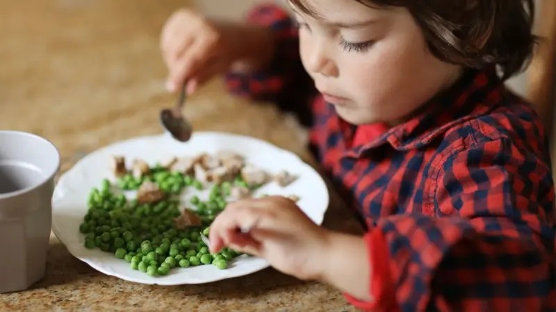 O Impacto Silencioso da Crise Iraniana: Fertilizantes, Fome e a Economia Global