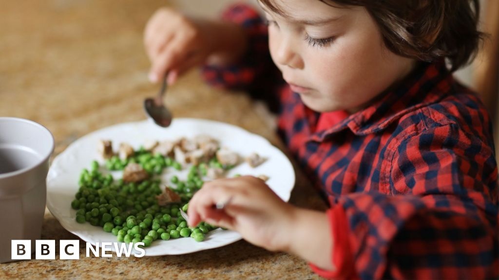 Crise de Fertilizantes Ameaça Segurança Alimentar Global em Meio a Conflitos no Oriente Médio