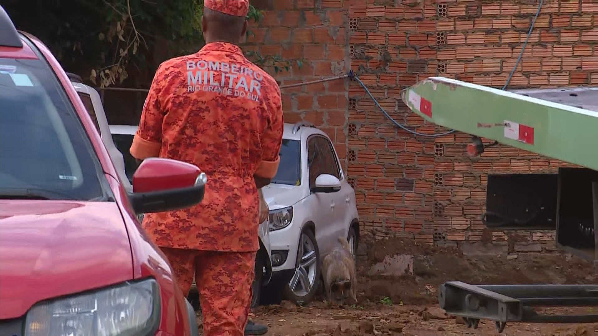 Buscas com Cães Farejadores em Cachoeirinha: O Ponto de Virada em um Desaparecimento que Ab abala o RS