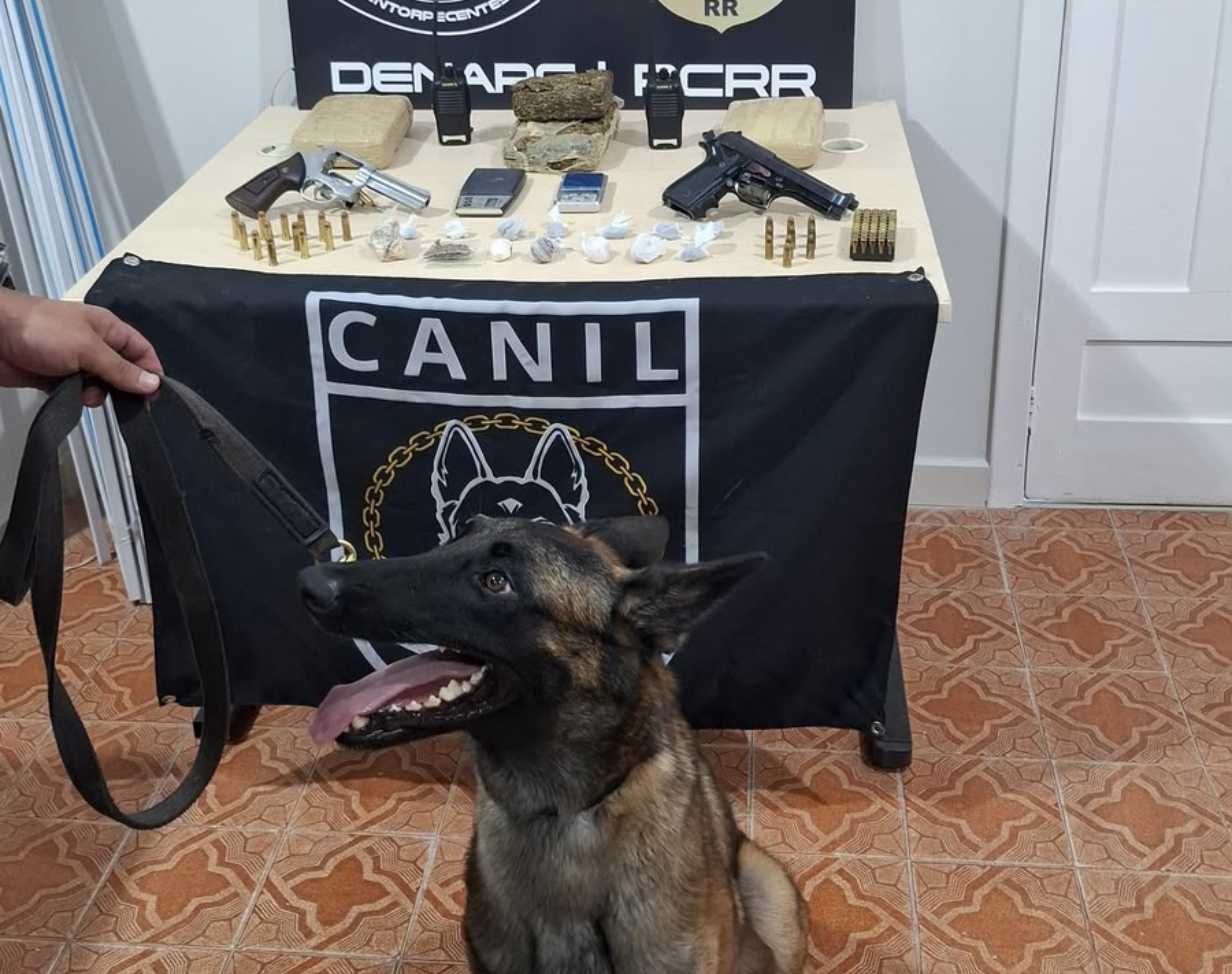 O Olhar Canino na Segurança de Boa Vista: Cadela Fúria e o Combate Contínuo ao Tráfico na Zona Oeste