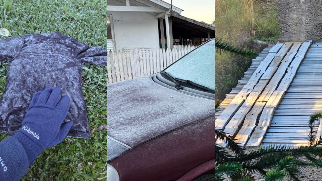 O Frio Extremo Precoce em SC: Além da Geada, um Alerta para Economia e Saúde Regional