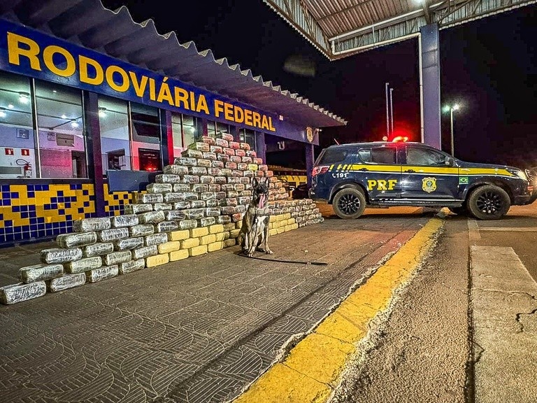 Mato Grosso: Apreensão de "Supermaconha" Revela A Profunda Teia do Narcotráfico na BR-364