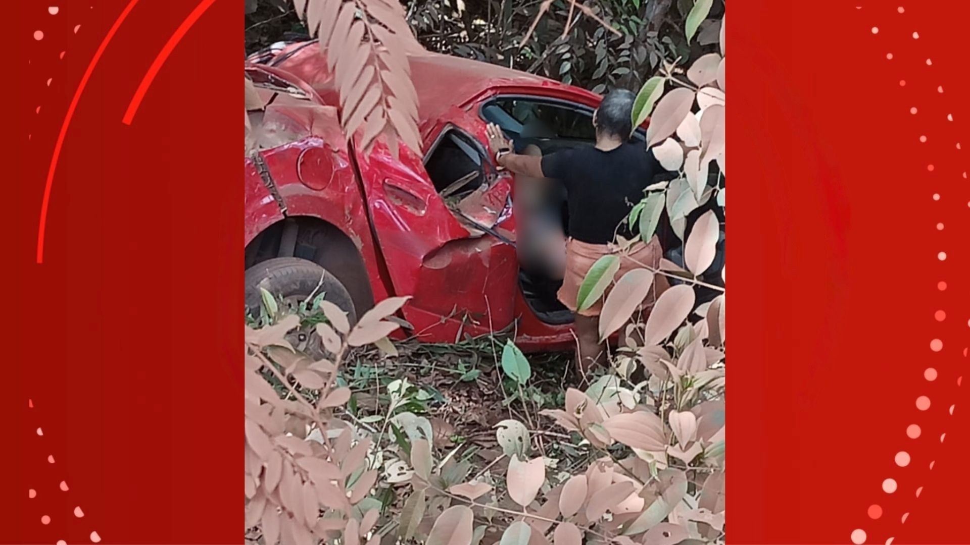 BR-156: O Preço da Conectividade e os Desafios Crônicos da Segurança no Amapá