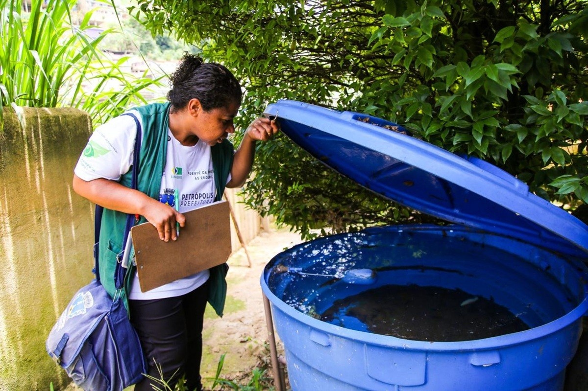 Acre Registra Queda Expressiva de Casos Prováveis de Dengue: Uma Análise Além dos Números Otimistas