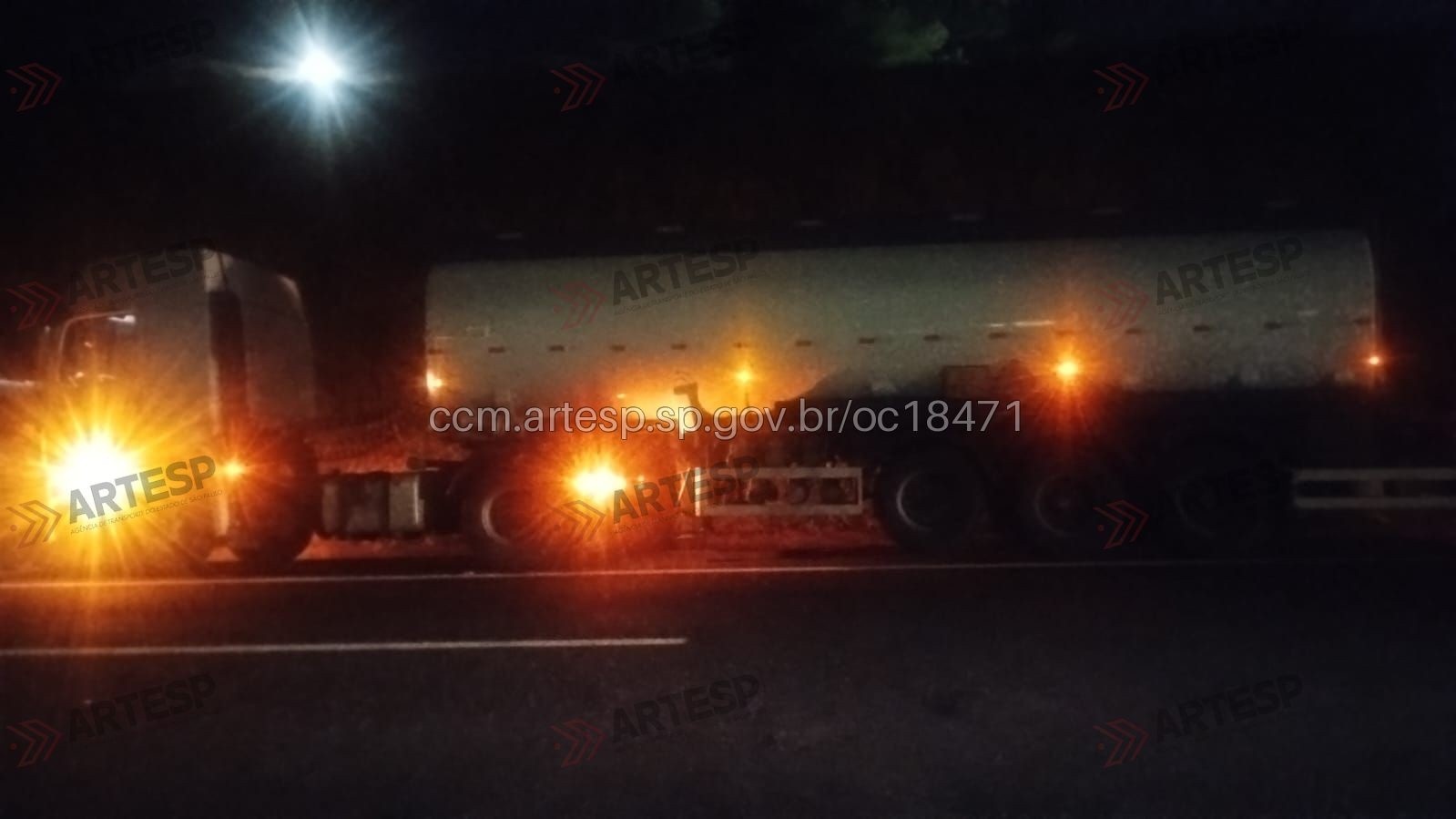 Acidente com Cavalo em Bauru: Um Alerta para a Segurança nas Rodovias e a Responsabilidade Social