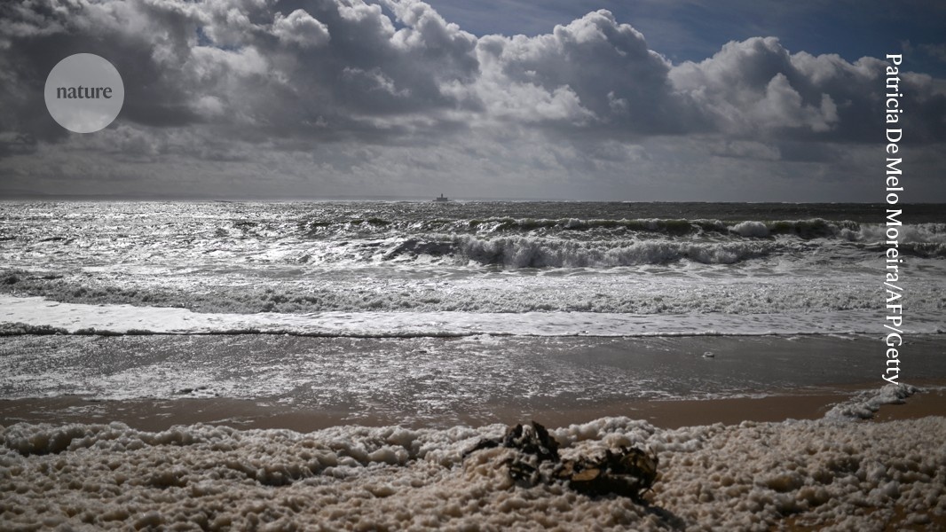 Contaminação Química Sintética: O Impacto Profundo Nosso Mar Oculta