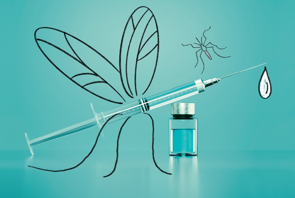 Chikungunya e dengue: quem pode tomar as vacinas no SUS (e onde)?