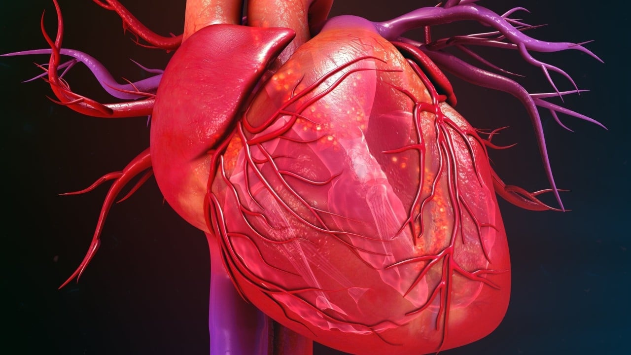 Avanço Transformador na Cardiologia: Terapia Celular Chinesa Reverte Insuficiência Cardíaca Grave