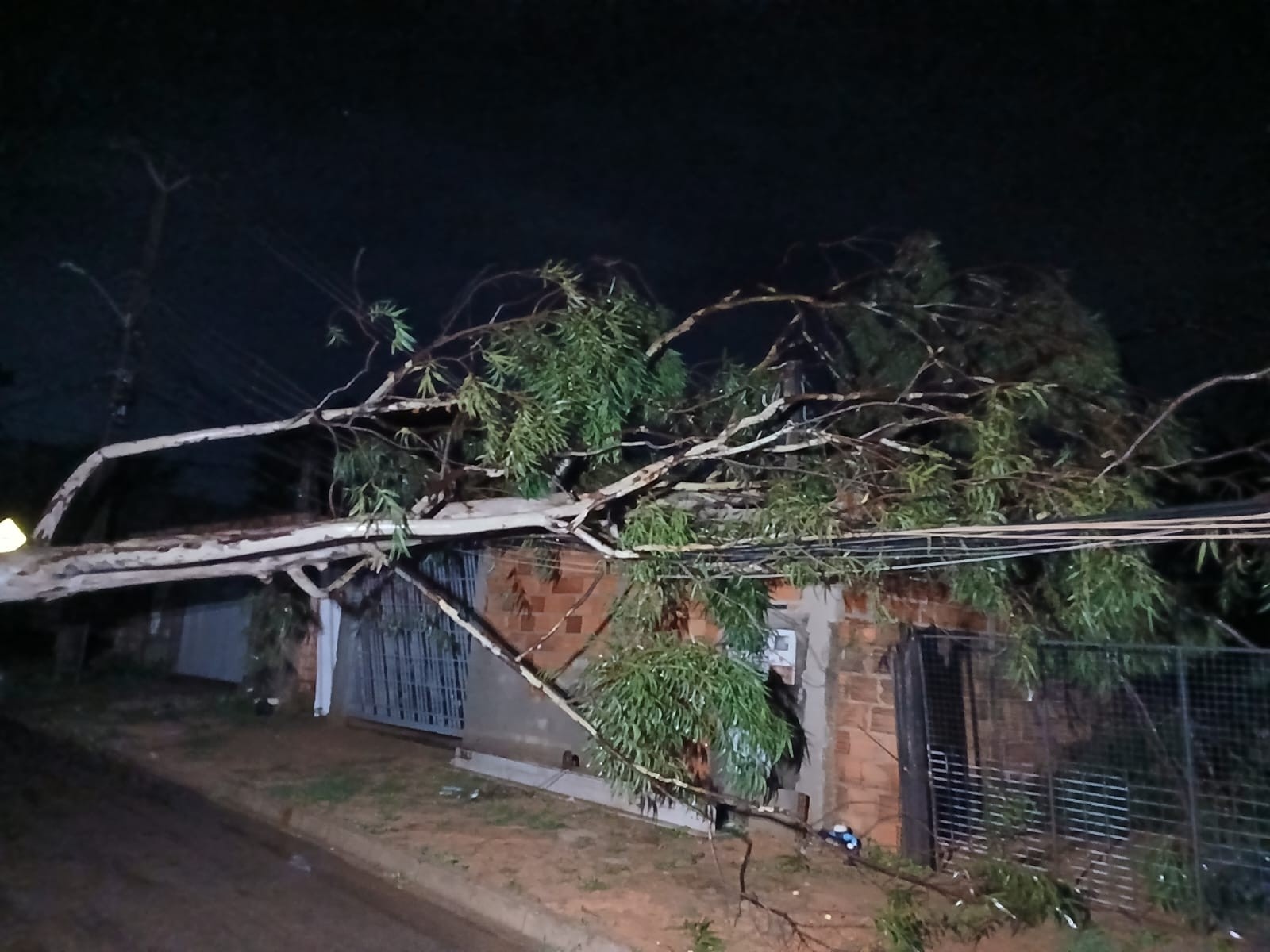 Palmas à Prova d'Água: Análise das Chuvas Revela Fragilidades Estruturais e Desafios para a Resiliência Urbana