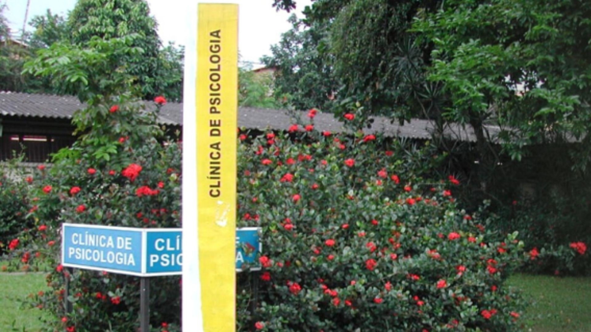 Saúde Mental em Belém: UFPA Amplia Acesso Gratuito e Redefine Cenário Regional