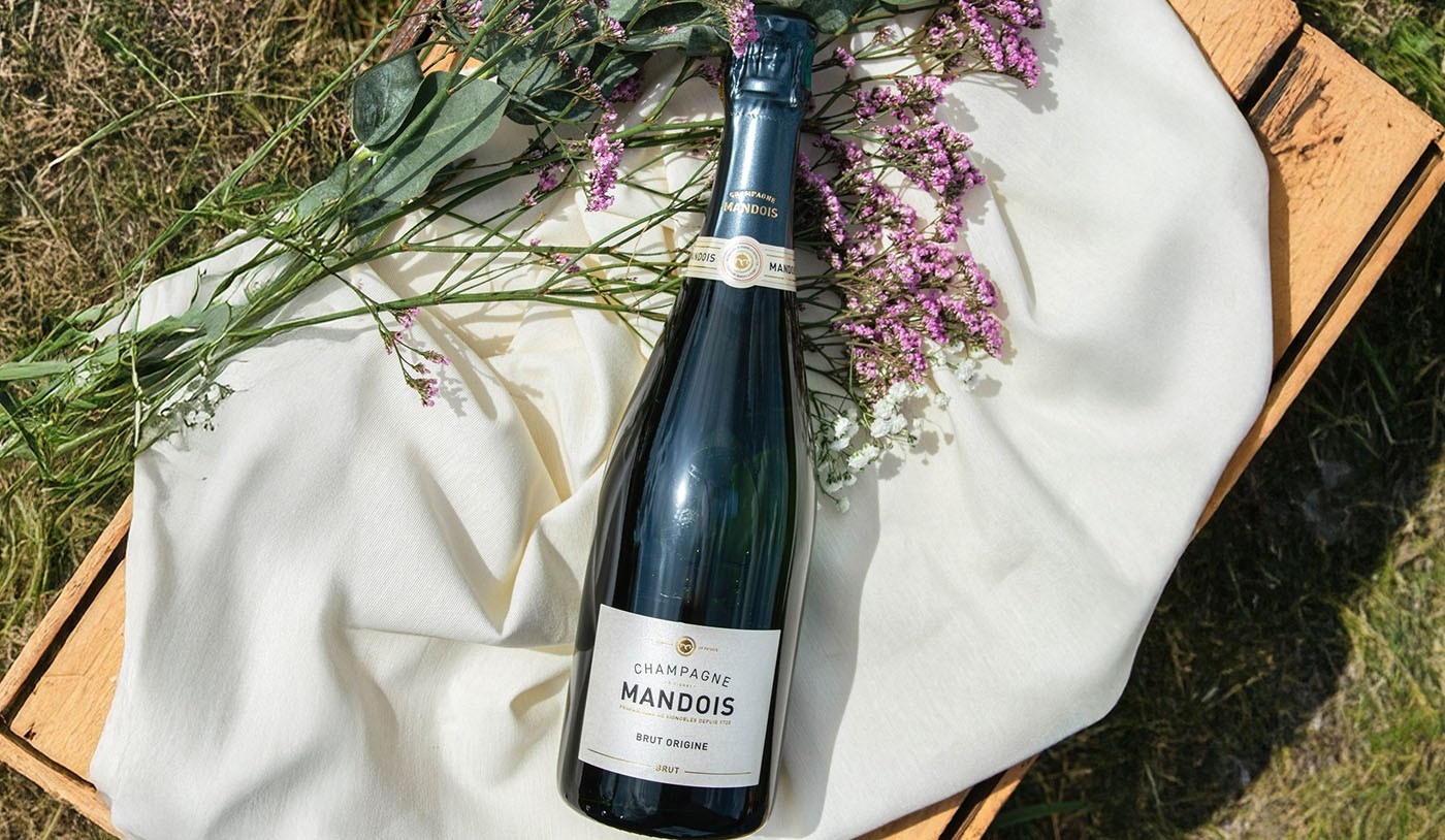 A Sofisticação Vinícola e o Efeito Cascata na Economia Regional do Paraná