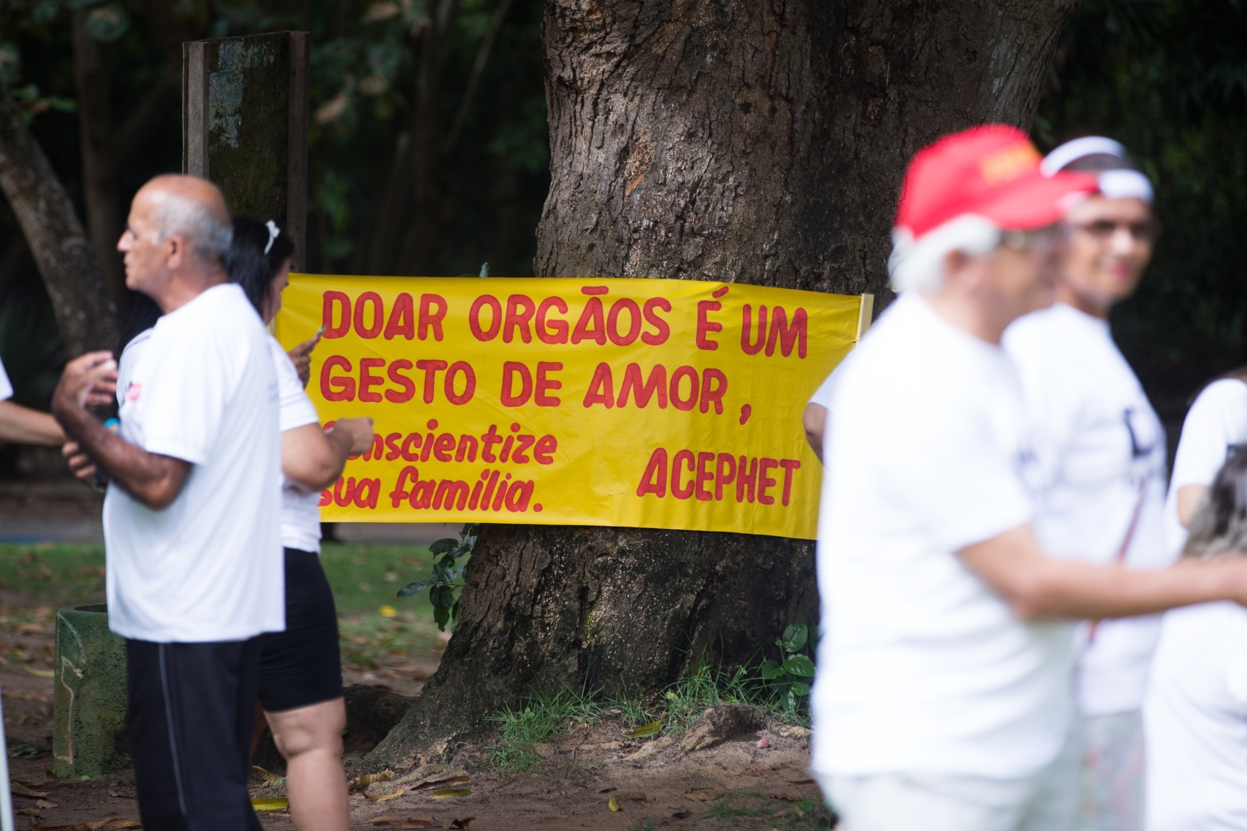 Como fazer a declaração de doação de órgãos