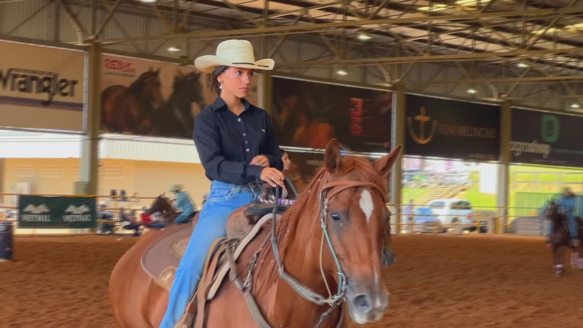 Além da Velocidade: Como o Circuito de Três Tambores de Tietê Revela uma Economia Hípica de Milhões