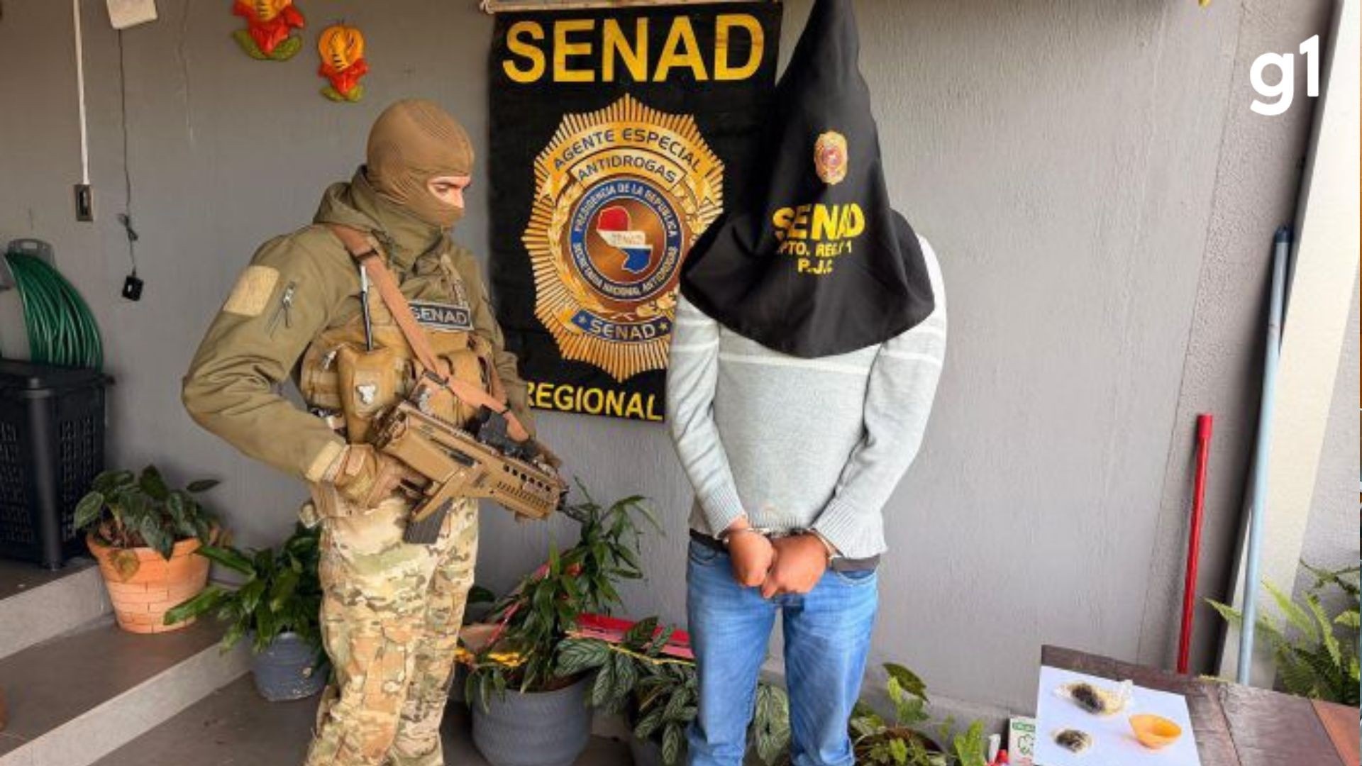 Desvelando a Rota: Como o Crime Organizado Conecta o RS ao Tráfico Transnacional de "Supermaconha"
