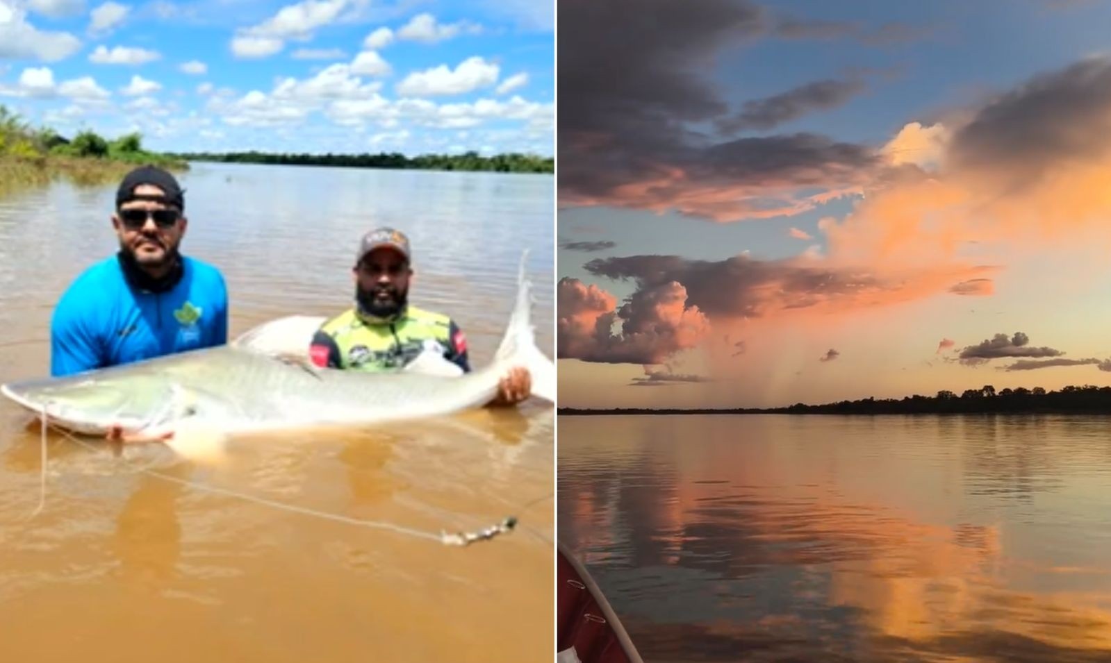 Araguaia: Gigantes Protegidos e a Virada Econômica da Pesca Esportiva em Goiás