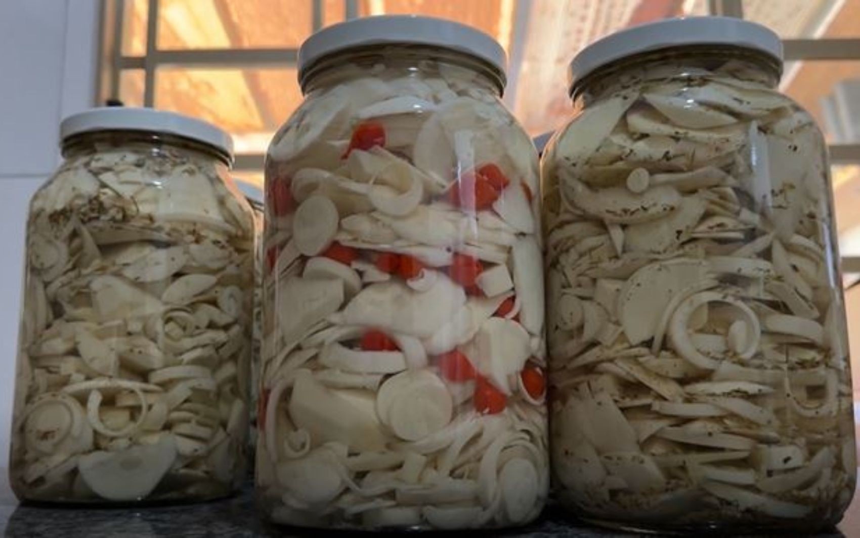 Guariroba: O Resgate Culinário que Fortalece a Identidade Goiana