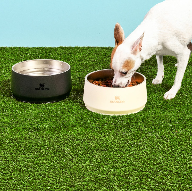 Stanley Lança Linha Pet Bowl com Potes Térmicos para Cães e Gatos