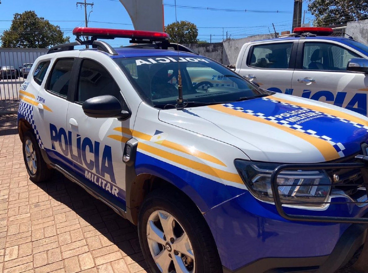 A Tragédia de Palmas: Reflexos Profundos da Violência Urbana e o Custo Oculto para a Sociedade