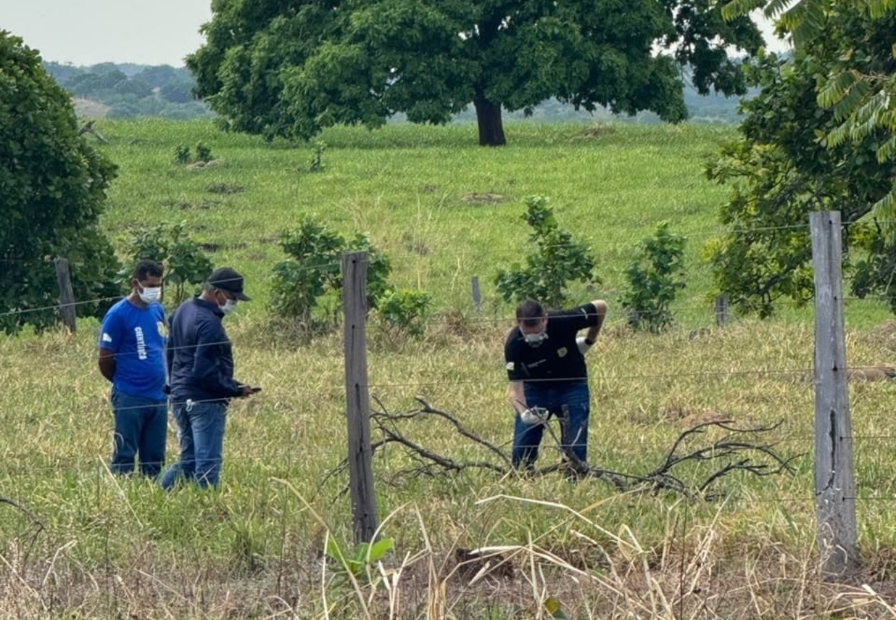 Corpo em decomposição é encontrado às margens da rodovia TO-336