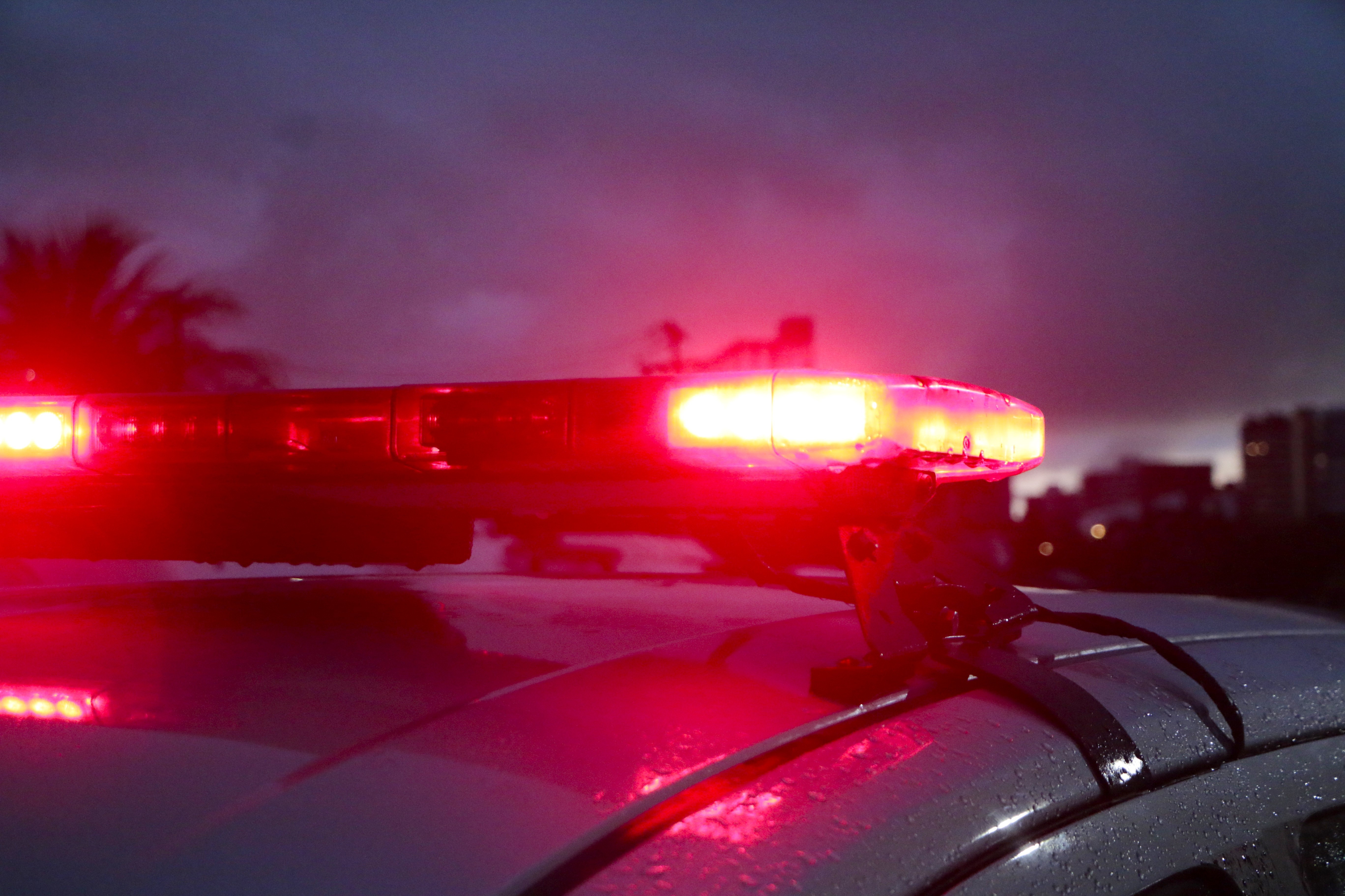 Violência Doméstica em Natal: O Impacto Silencioso e suas Ramificações na Segurança Regional