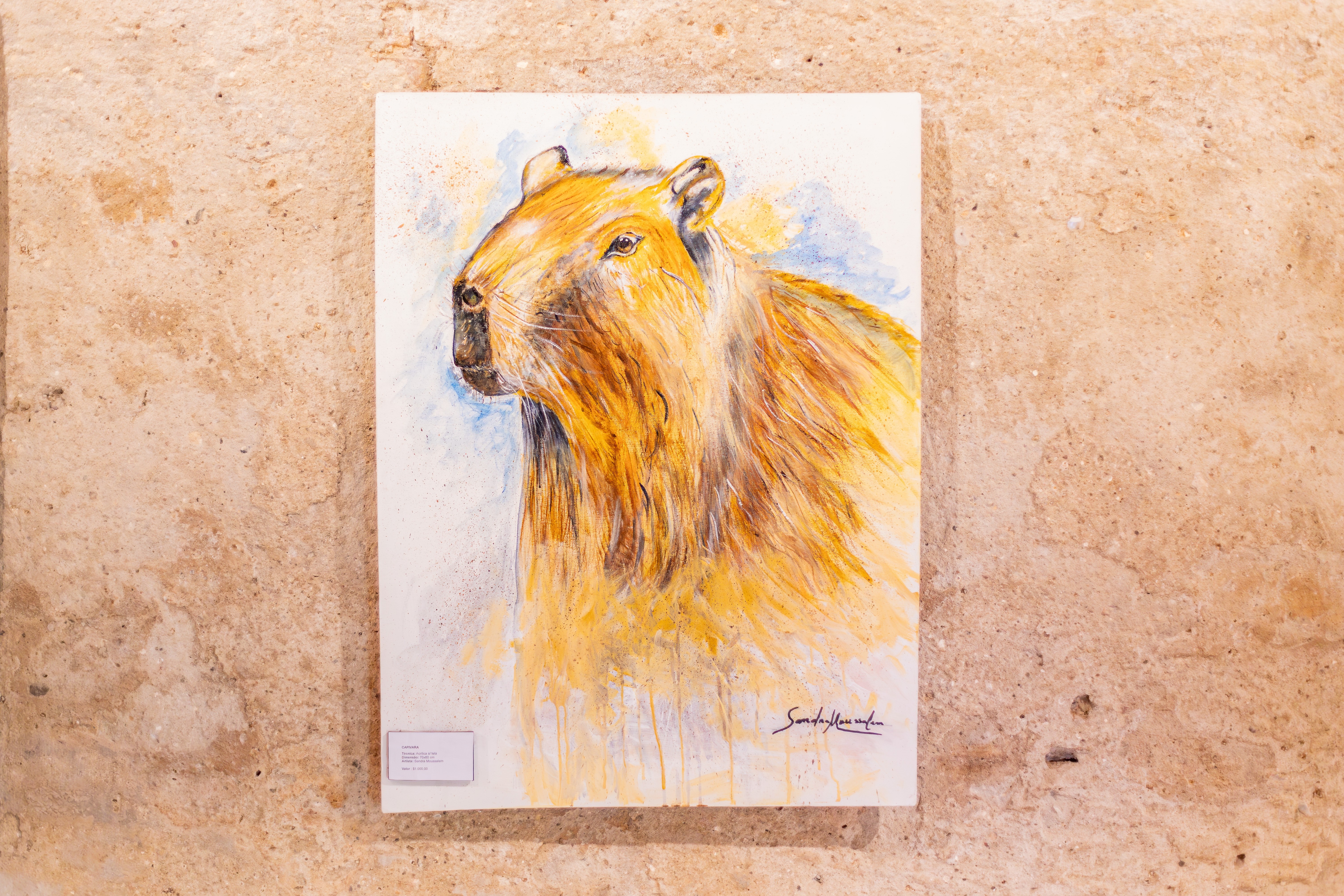 Arte e Legado: Como a Exposição "Cuiabá em Cores" Reafirma a Identidade Regional por Mais de Dois Anos