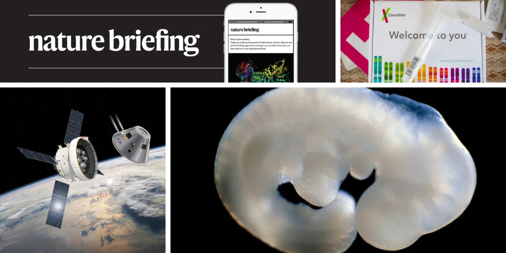 Reversão do Envelhecimento Celular: Ensaio Clínico Pioneiro Sinaliza Nova Era na Medicina Regenerativa