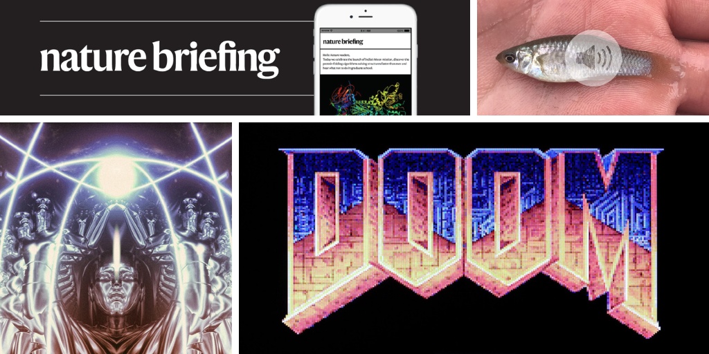 Genômica Desvenda Segredos Ancestrais: Estudo Questiona a Unidade Evolutiva dos Tubarões