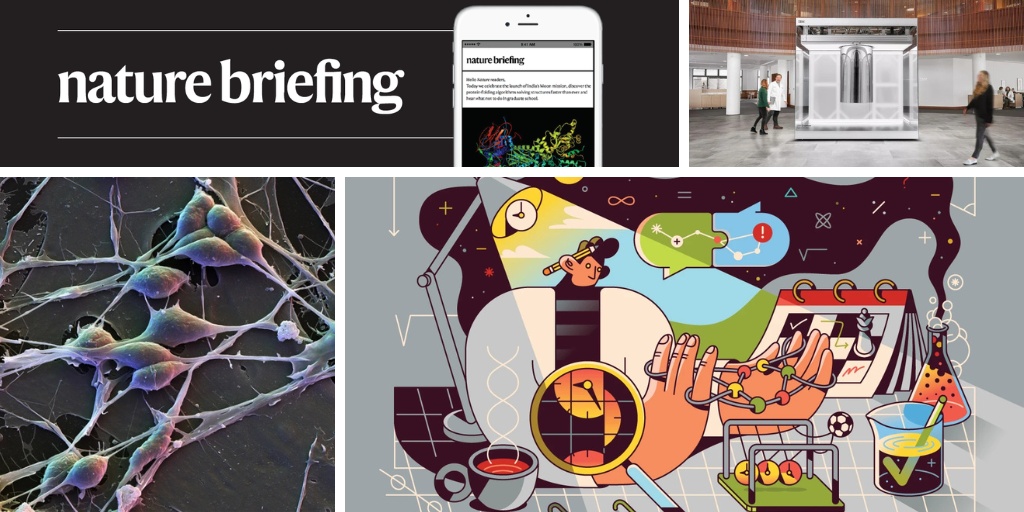 Neurociência Desvenda Diferenças Genéticas Cruciais no Cérebro Masculino e Feminino