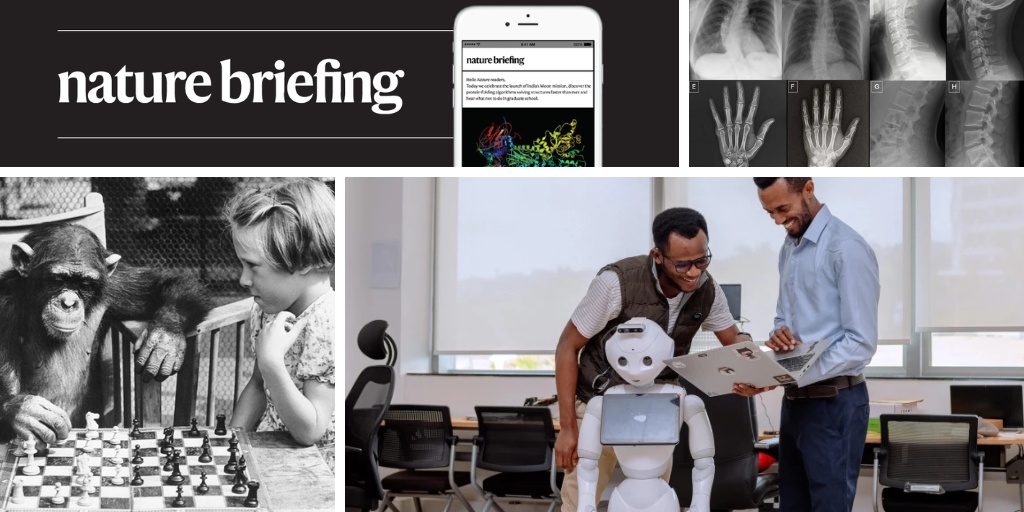 Análise Genética Desvenda Vulnerabilidade Fundamental na Extinção Neandertal