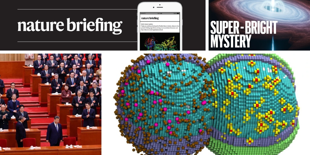 O Blueprint Computacional da Vida: Cientistas Recriam Célula em Simulação 3D