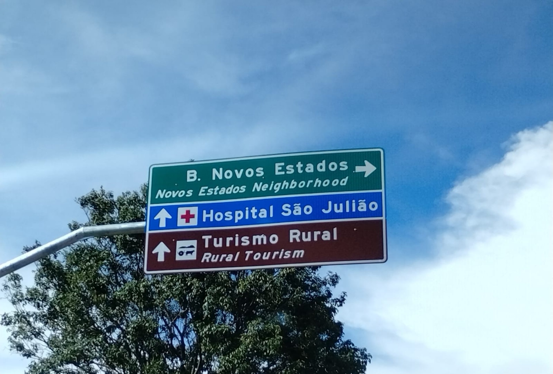 Campo Grande na Órbita Global: Desvendando o Legado da COP15 para o Mato Grosso do Sul