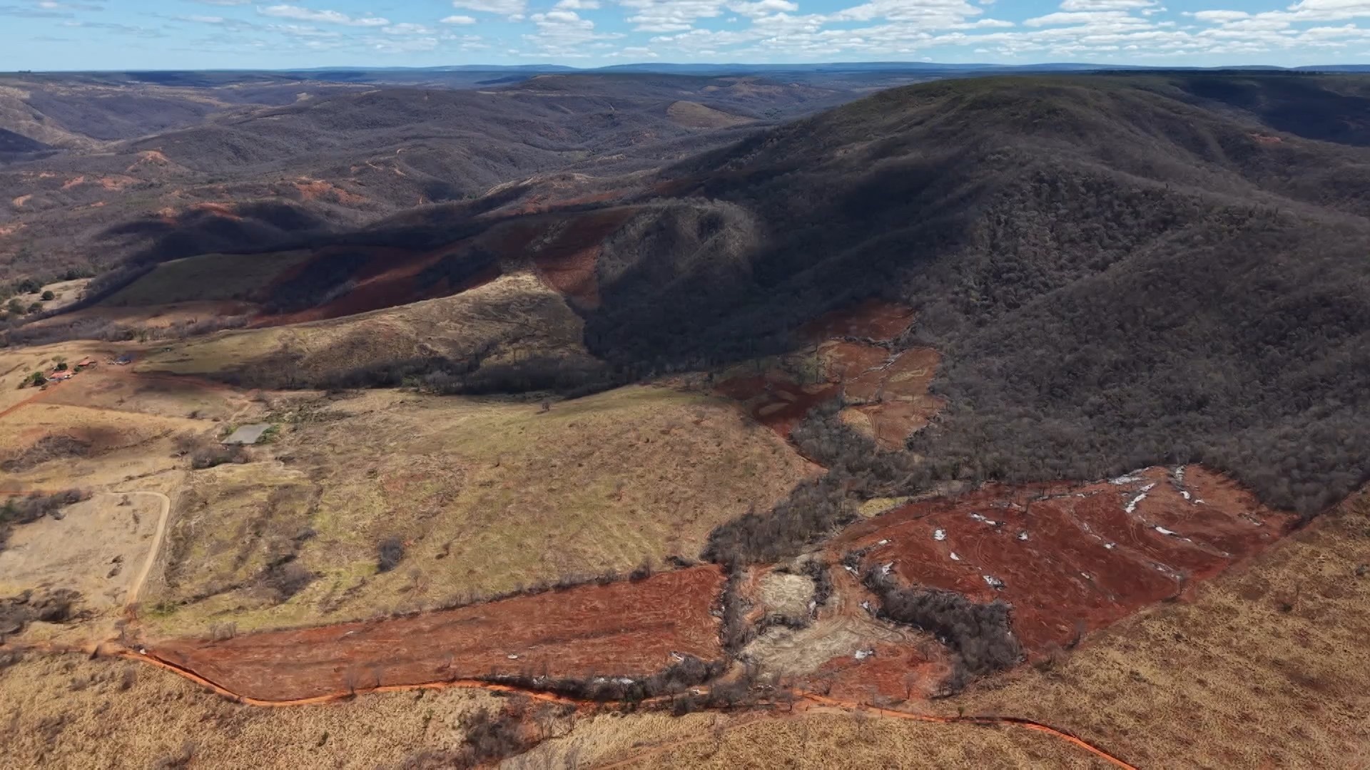 Desmatamento na Mata Atlântica Mineira: Um Alerta Econômico e Climático para a Região