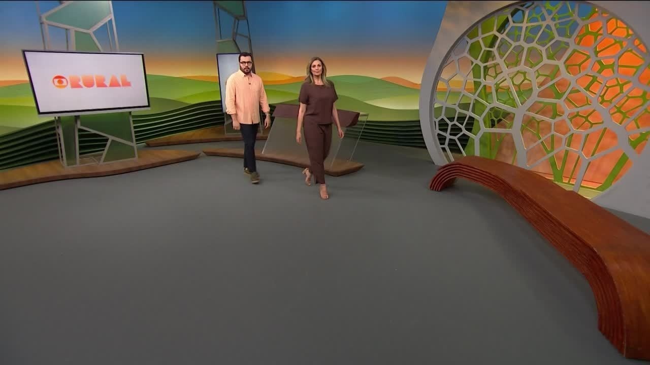 A Reconfiguração Geoeconômica da Soja: Como o Arco Norte Eleva a Competitividade Brasileira