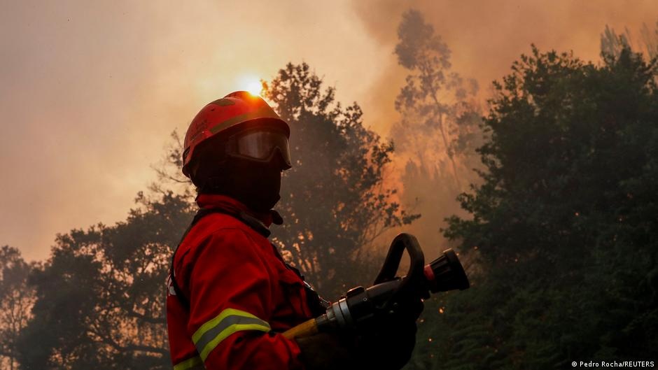 Fumaça de Incêndios Florestais: A Ameaça Oculta à Saúde Sistêmica e Seu Impacto Duradouro