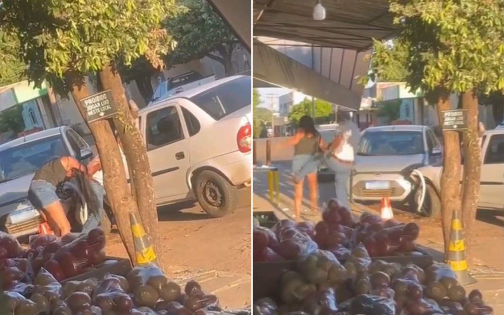 Violência Doméstica em Goiás: O Padrão Oculto e o Impacto Regional da Agressão em Anicuns