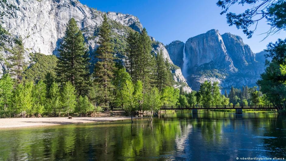 O Legado Ambiental em Risco: Como as Políticas de Trump para Terras Públicas dos EUA Podem Reverter a Luta Climática Global